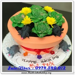 Mẫu Bánh Sinh Nhật Đẹp - A735